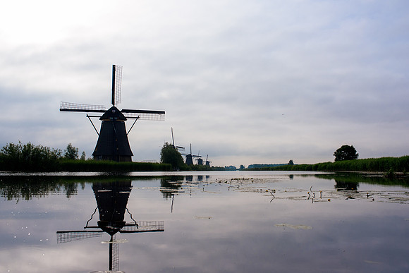 Kinderdijk Rosy Derk-44