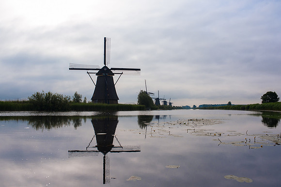 Kinderdijk Rosy Derk-43