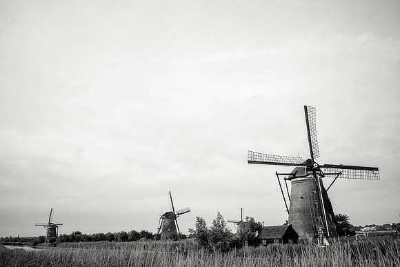 Kinderdijk Rosy Derk-24