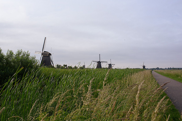 Kinderdijk Rosy Derk-29