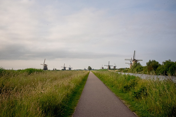 Kinderdijk Rosy Derk-1