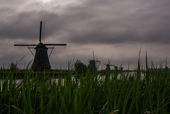 Kinderdijk Rosy Derk-50