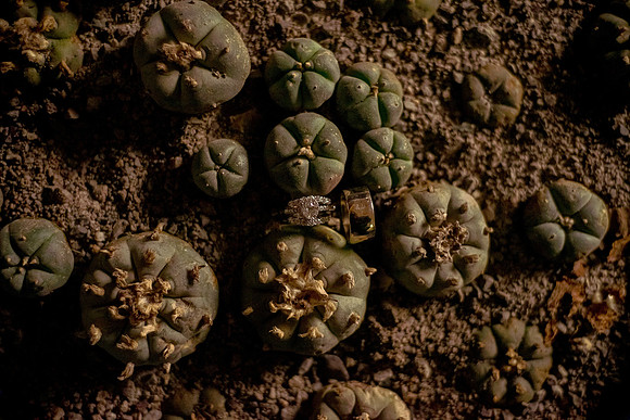 Sara y Carlos Real de Catorce-103