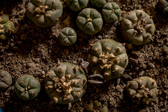 Sara y Carlos Real de Catorce-108