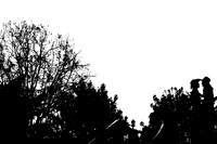 autenticmoment 6