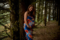 Heidi Mom to Be-3