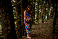 Heidi Mom to Be-2
