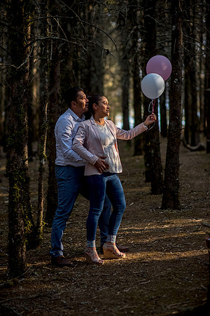 Arce y Lalo Mom to be-69