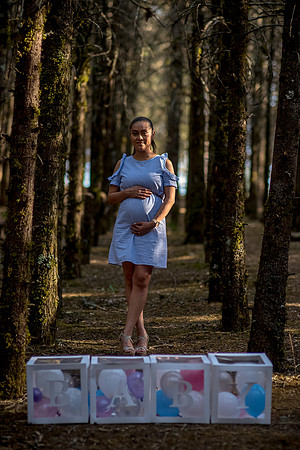 Arce y Lalo Mom to be-35