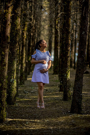 Arce y Lalo Mom to be-38