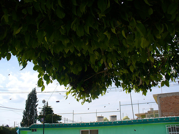 P1060345
