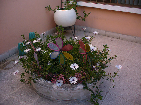 P1060343