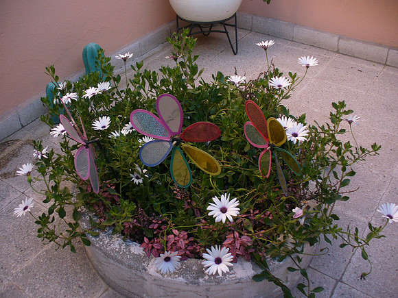 P1060344