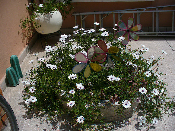 P1060365