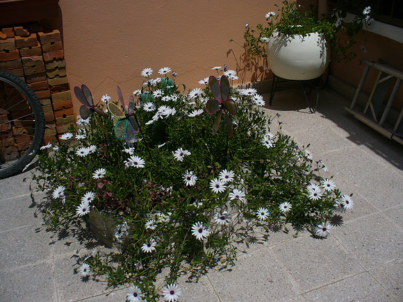 P1060364