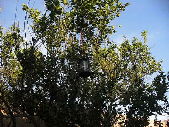 P1060309