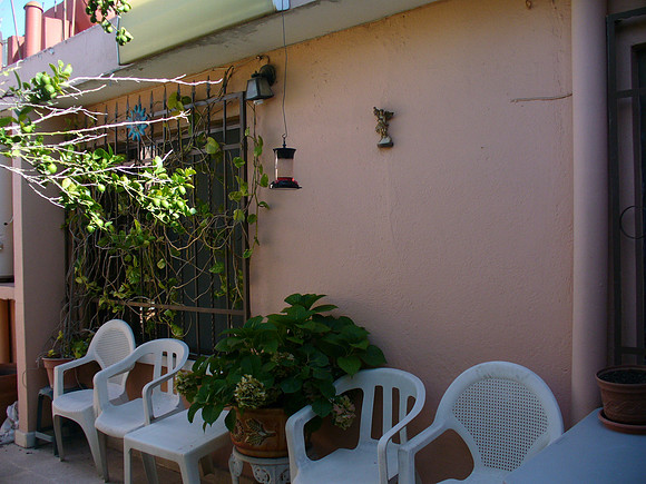 P1060410