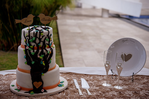 Denise y Javier-219