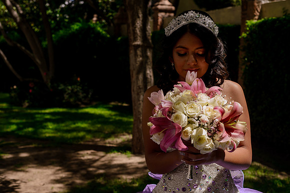 Ale Dia de Los Quinces-22