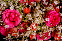 Rocio & Mike SMA-15