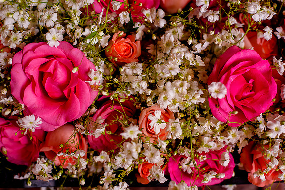 Rocio & Mike SMA-15