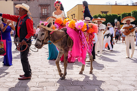 Rocio & Mike SMA-225