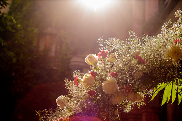 Rocio & Mike SMA-287