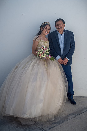 Fer Mis Quinces-27