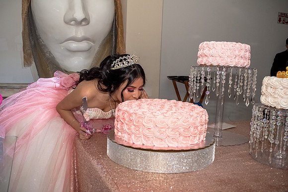 Karime Mis Quinces-228