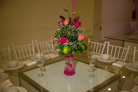 Karime Mis Quinces-77