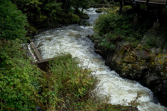 Alaska 2022-20