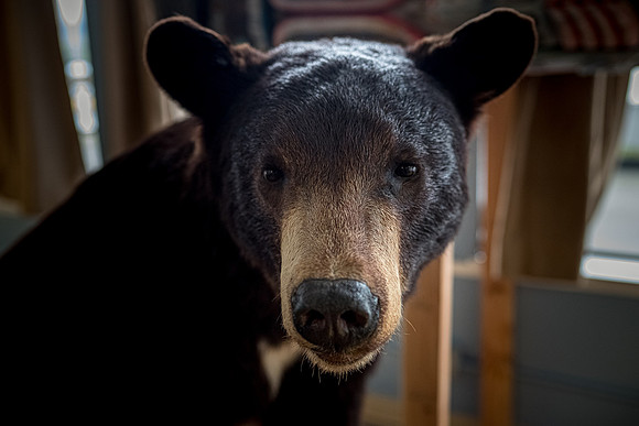 Alaska 2022-16