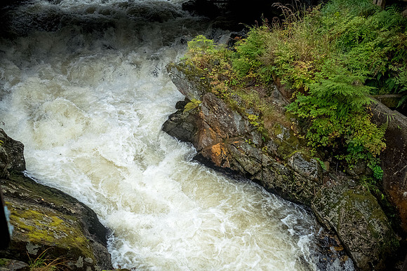 Alaska 2022-25
