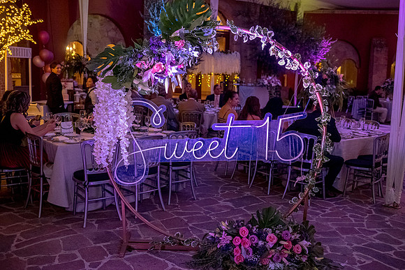Camila Dia de los Quinces-378