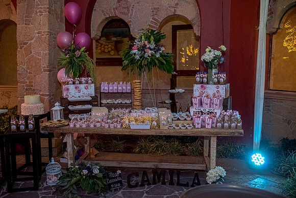 Camila Dia de los Quinces-374