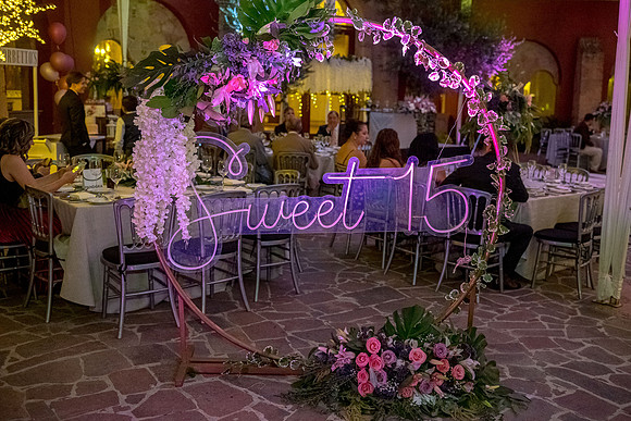 Camila Dia de los Quinces-377