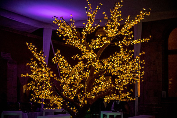Camila Dia de los Quinces-365