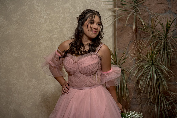 Camila Dia de los Quinces-114