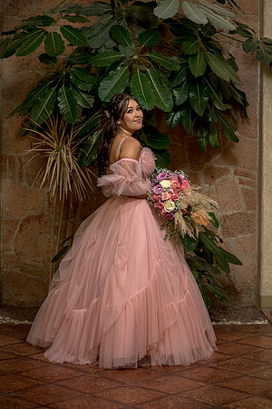 Camila Dia de los Quinces-118