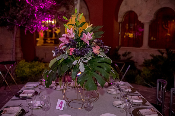 Camila Dia de los Quinces-379