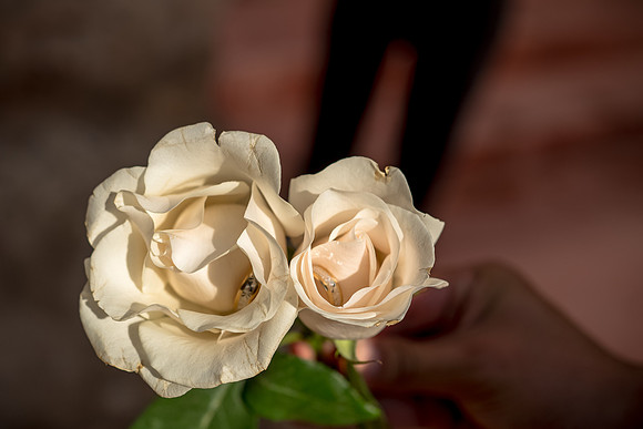 Boda Mayra y Alexis-291