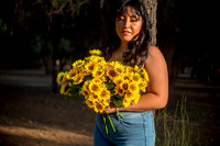 Alexa Girasoles-6