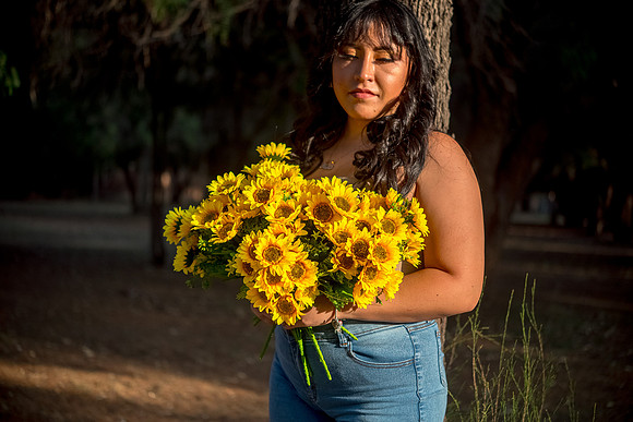 Alexa Girasoles-6