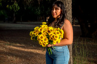 Alexa Girasoles-3