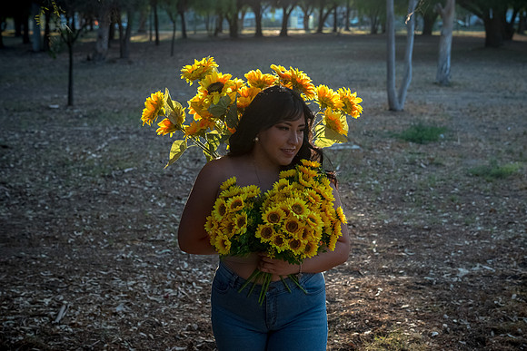 Alexa Girasoles-50