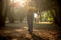 Alexa Girasoles-14