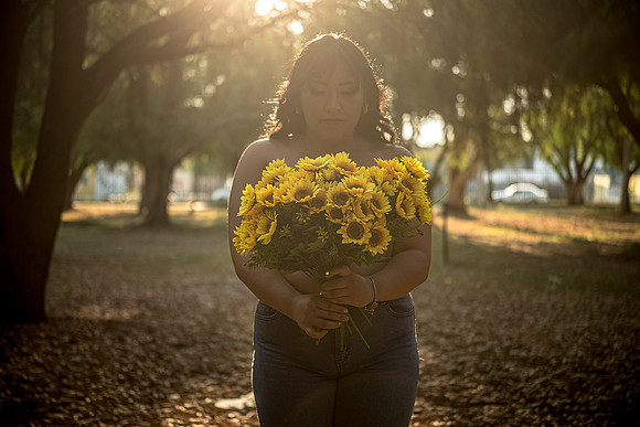 Alexa Girasoles-11