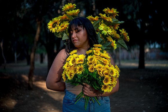 Alexa Girasoles-31