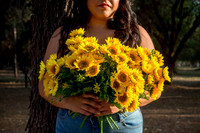 Alexa Girasoles-4