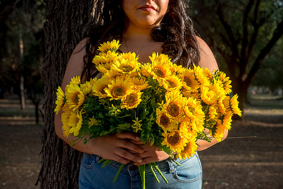 Alexa Girasoles-4
